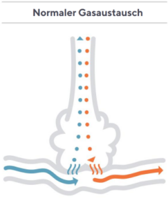 gasaustausch
