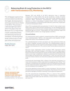 Balancing-Brain-Lungs-Preview-Image